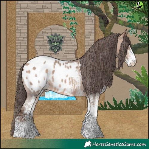 Horse Color:White Spotted Sable Champagne Appaloosa 