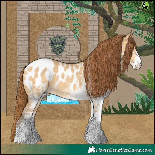 Horse Color:White Spotted Amber Cream Champagne Dun Appaloosa 