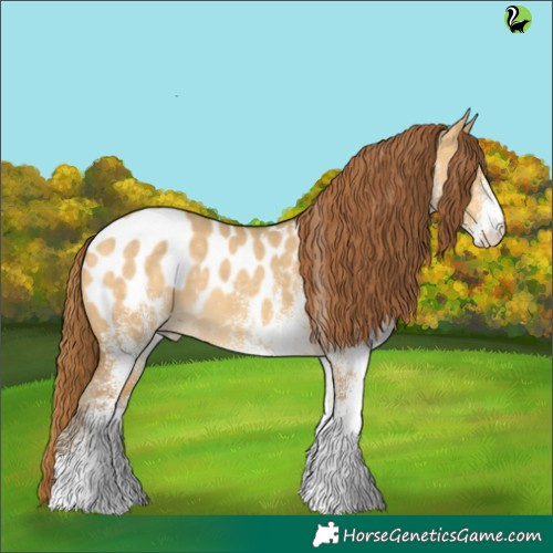 Horse Color:White Spotted Amber Cream Champagne Dun Appaloosa