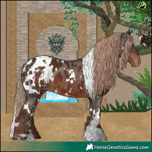 Horse Color:White Spotted Liver Chestnut Appaloosa 