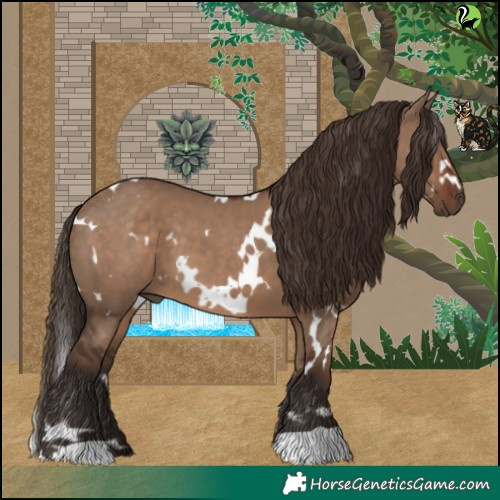 Horse Color:White Spotted Liver Red Dun 