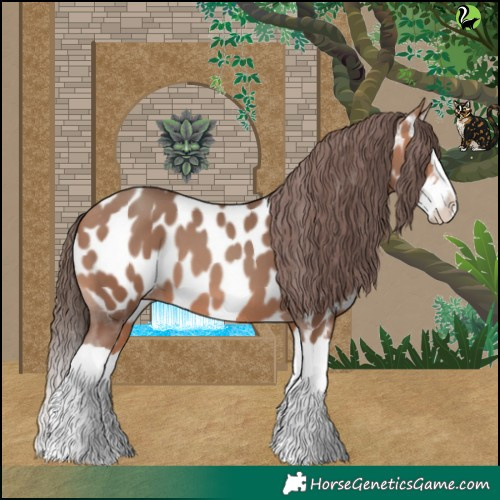 Horse Color:Amber Champagne Splash Appaloosa 