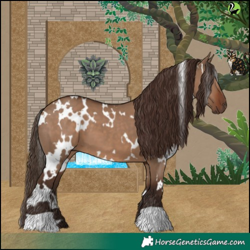 Horse Color:White Spotted Liver Red Dun 