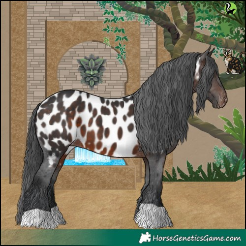 Horse Color:Brown Near Leopard 