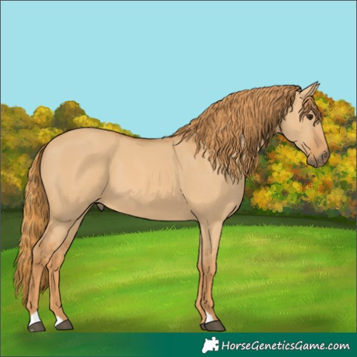 Horse Color:Red Dun