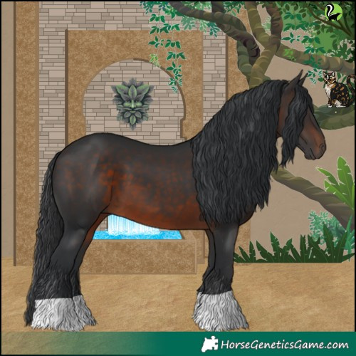 Horse Color:Brown 