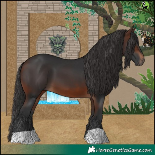 Horse Color:Brown 