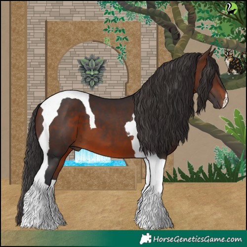 Horse Color:Brown Tobiano 