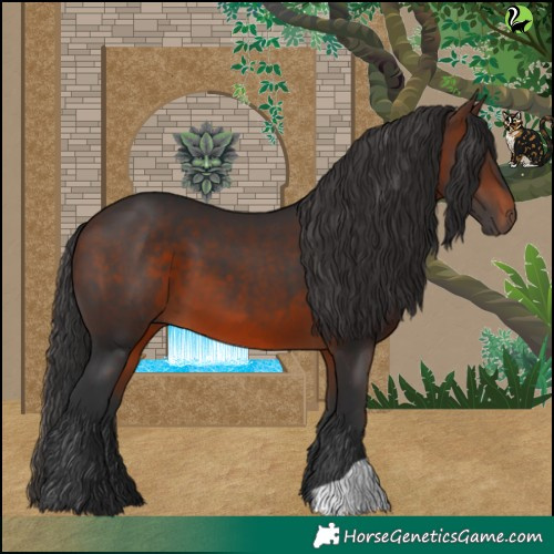 Horse Color:Brown 