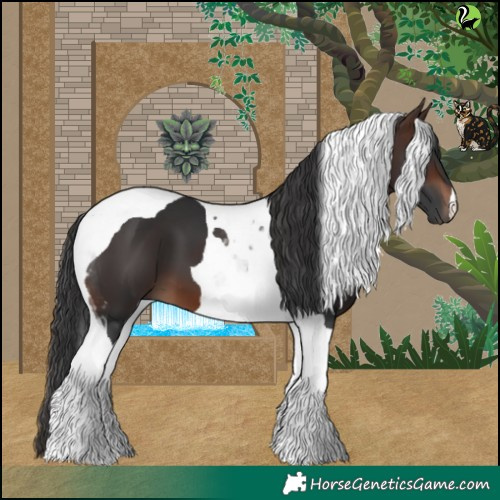 Horse Color:Brown Tobiano 