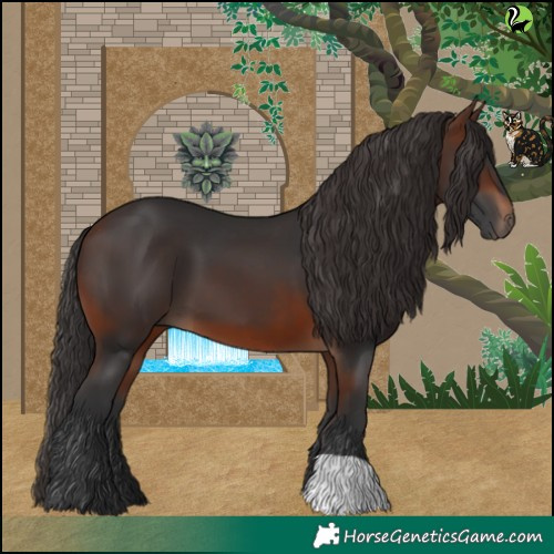 Horse Color:Brown 