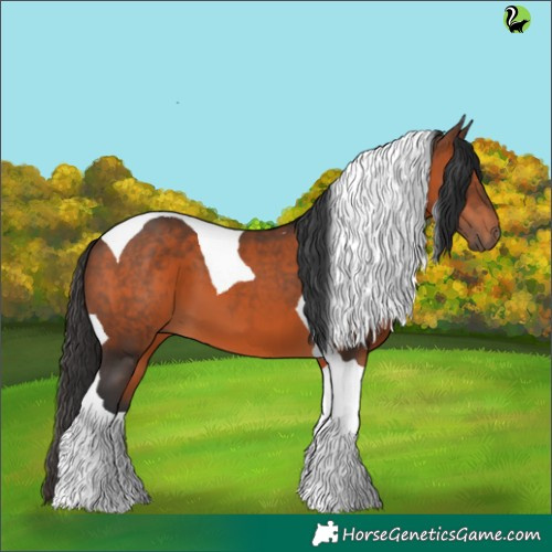 Horse Color:Brown Tobiano 