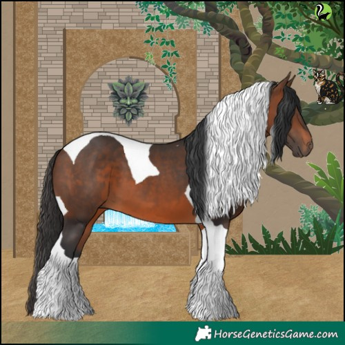 Horse Color:Brown Tobiano 