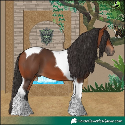 Horse Color:Bay Tobiano 