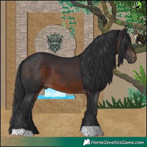 Horse Color:Brown 