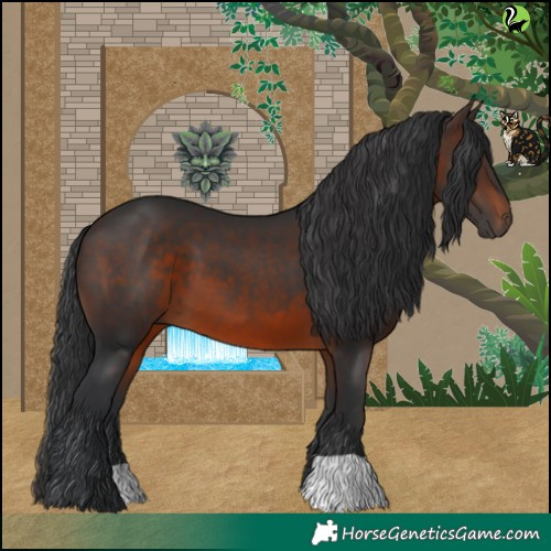 Horse Color:Brown 