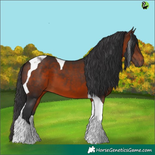 Horse Color:Brown Tobiano 