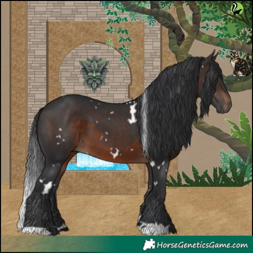 Horse Color:White Spotted Brown 