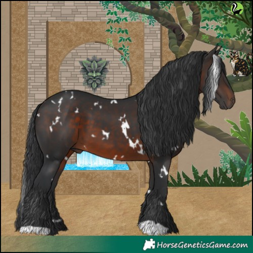 Horse Color:White Spotted Brown 