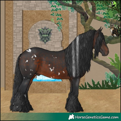 Horse Color:White Spotted Brown 