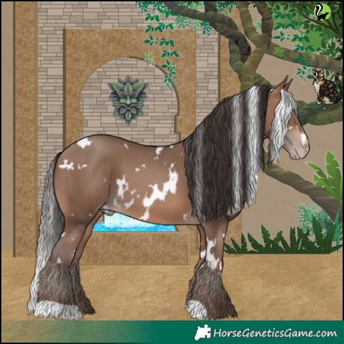 Horse Color:White Spotted Sable Champagne 