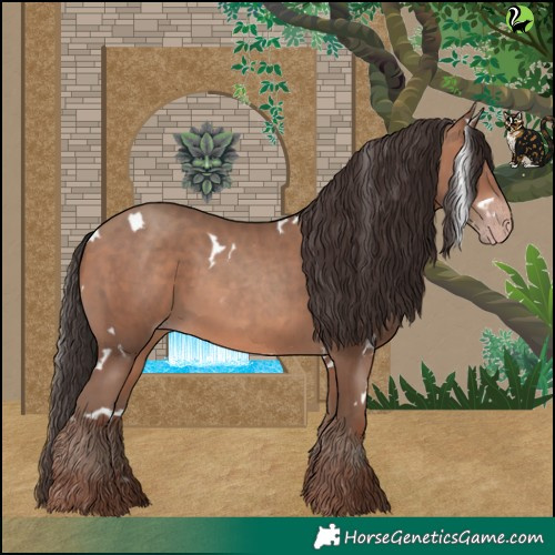 Horse Color:White Spotted Sable Champagne 