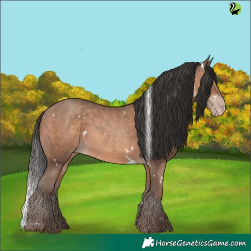 Horse Color:White Spotted Sable Champagne