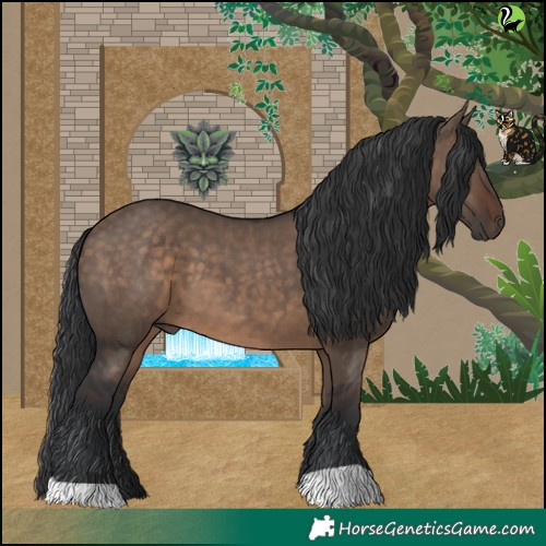Horse Color:Brown Dun 