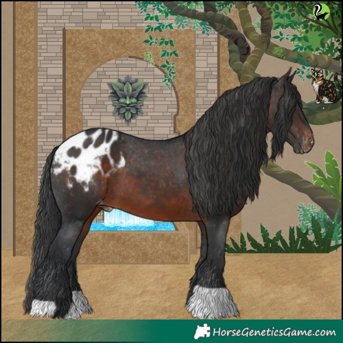 Horse Color:Brown Blanket 