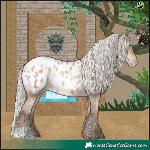 Horse Color:Silver Brown Pearl Dun Appaloosa 