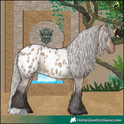 Horse Color:Silver Brown Dun Appaloosa 