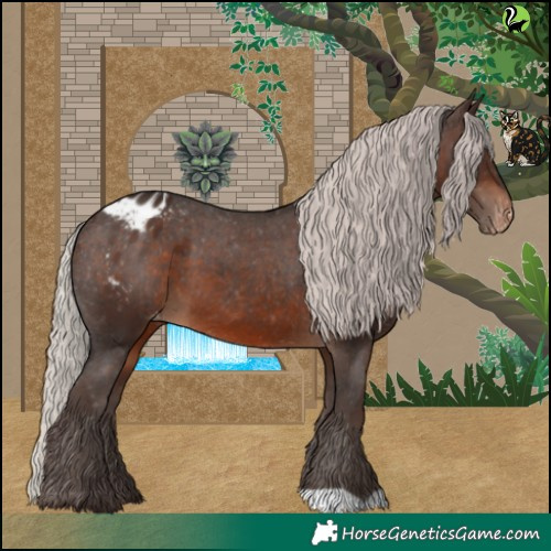 Horse Color:Silver Brown Appaloosa 