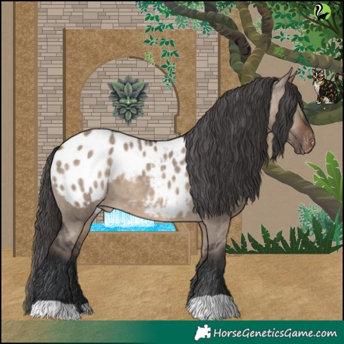 Horse Color:Brown Dun Blanket 