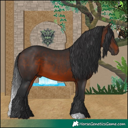 Horse Color:Brown 