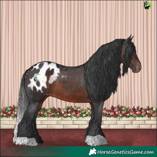 Horse Color:Brown Blanket 