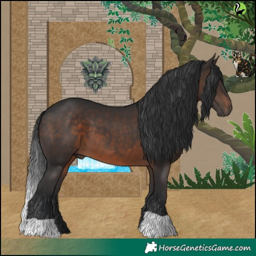 Horse Color:Brown 