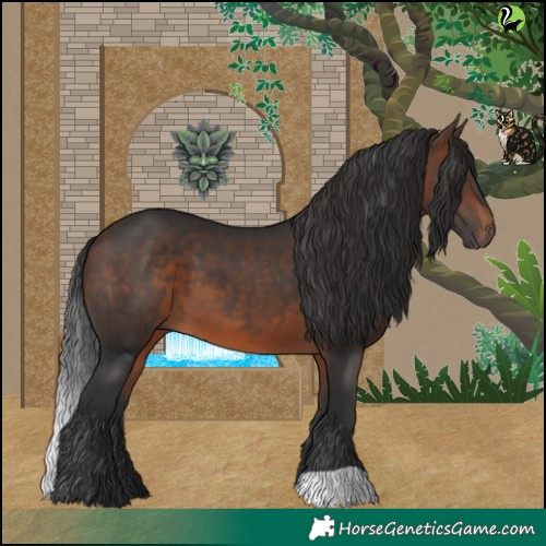 Horse Color:Brown 