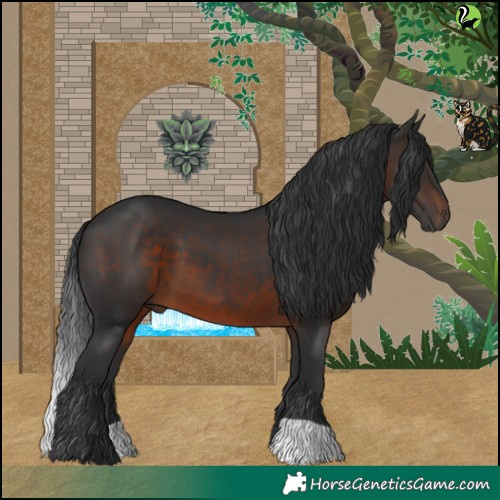 Horse Color:Brown 
