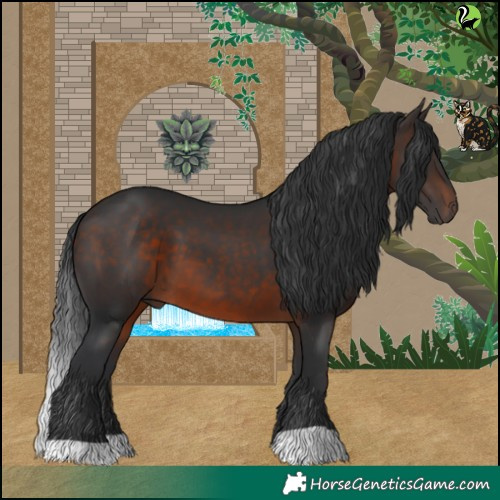 Horse Color:Brown 