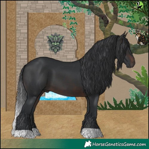Horse Color:Brown 