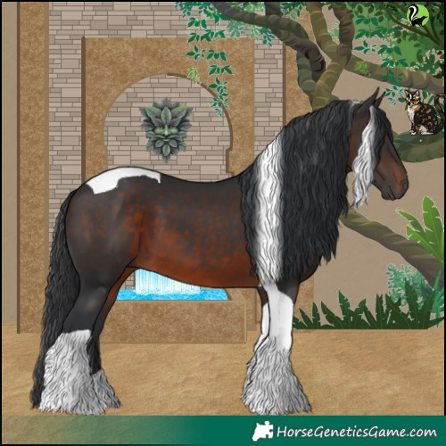 Horse Color:Brown Tobiano 