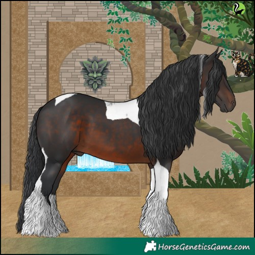 Horse Color:Brown Tobiano 