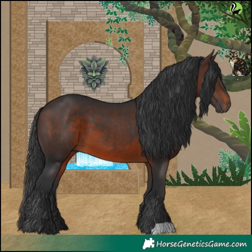 Horse Color:Brown 