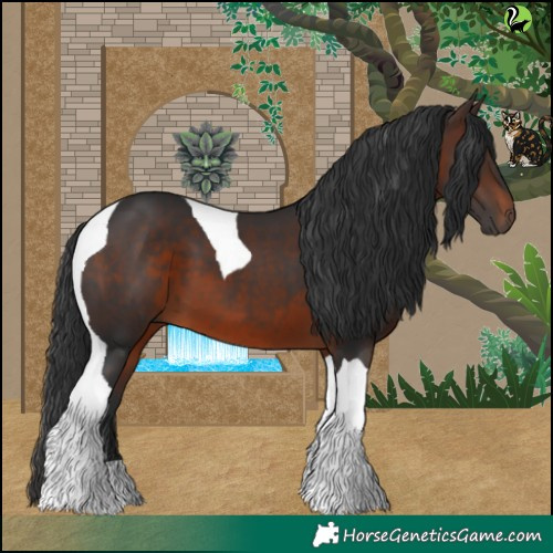 Horse Color:Brown Tobiano 