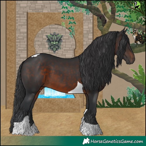 Horse Color:Brown Tobiano 