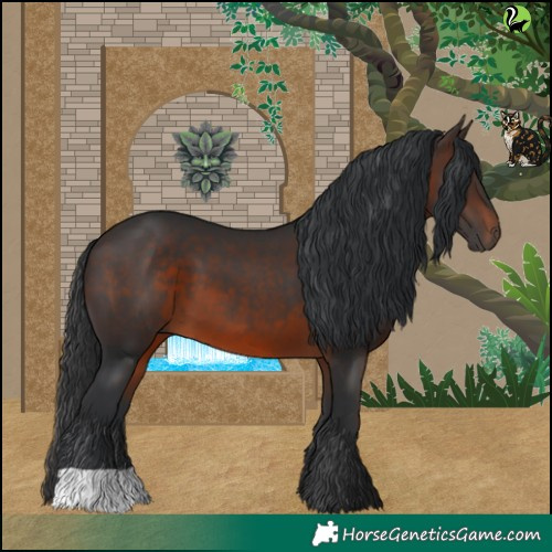 Horse Color:Brown 