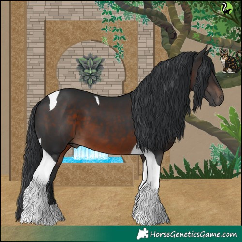 Horse Color:Brown Tobiano 