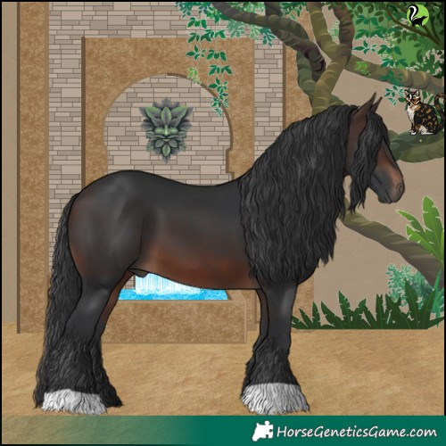 Horse Color:Brown 