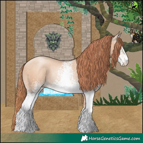 Horse Color:White Spotted Sable Champagne Pearl Rabicano 