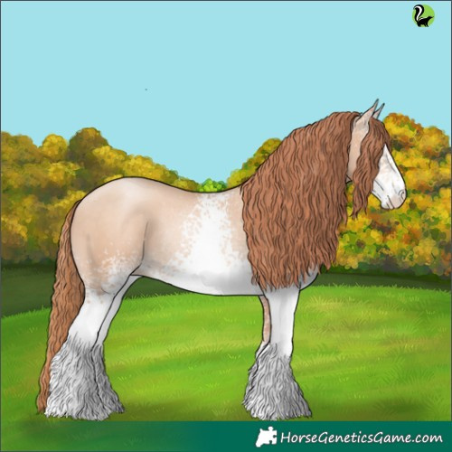 Horse Color:White Spotted Sable Champagne Pearl Rabicano 